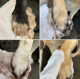 Easy to use wipes mitts for dogs