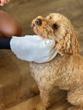 Enviropaws biodegradable and compostable dog (pet) wipes (mitts); Environmentally friendly; Extra Large; Extra Thick; pH Balanced; Alcohol Free; Hypoallergenic; Shea Butter & Sparkling Orange; Bamboo Fibre; Recycled Plastic